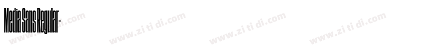 Media Sans Regular字体转换